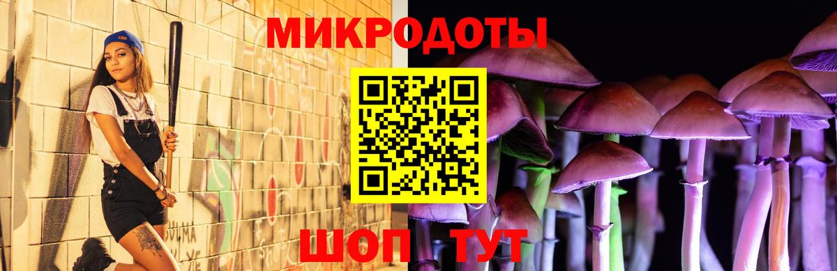 Галлюциногенные грибы Psilocybine cubensis  Вход с VPN  Чебоксары  Псилоцибиновые грибы мухоморы 
